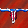 Patriotic Longhorns artwork
