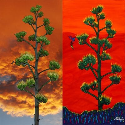 Side-by-side comparison of a century plant photograph and Clark Sheppard's finished fluorescent acrylic painting inspired by it.
